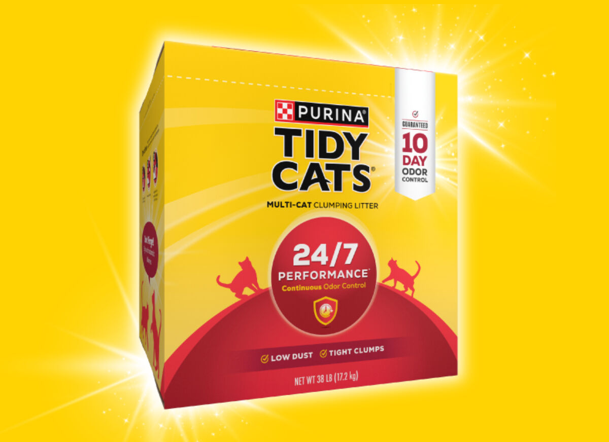 Tidy Cats 24/7